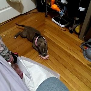 Meet your Posher, Carnell